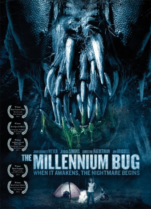 The Millennium Bug
